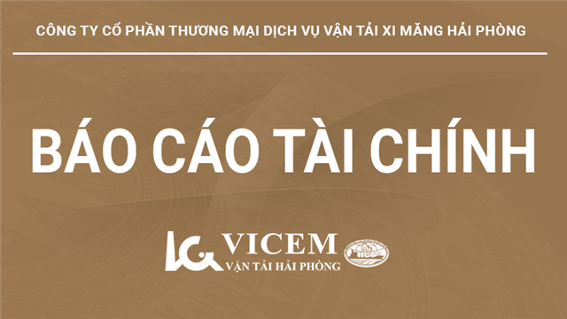 Báo cáo tài chính quý 2 năm 2024