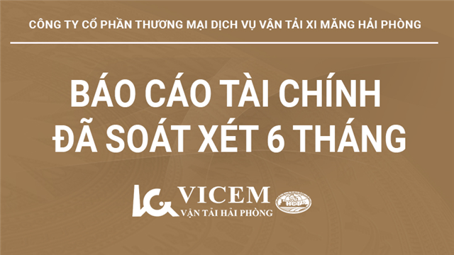 Báo cáo tài chính đã soát xét 6 tháng đầu năm 2024